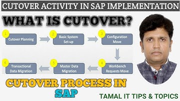 SAP Cut Over Activities | SAP Cutover Management | SAP Cutover Process | SAP Implementation Process