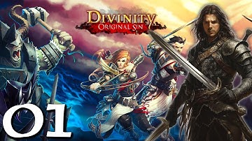 Divinity Original Sin Let