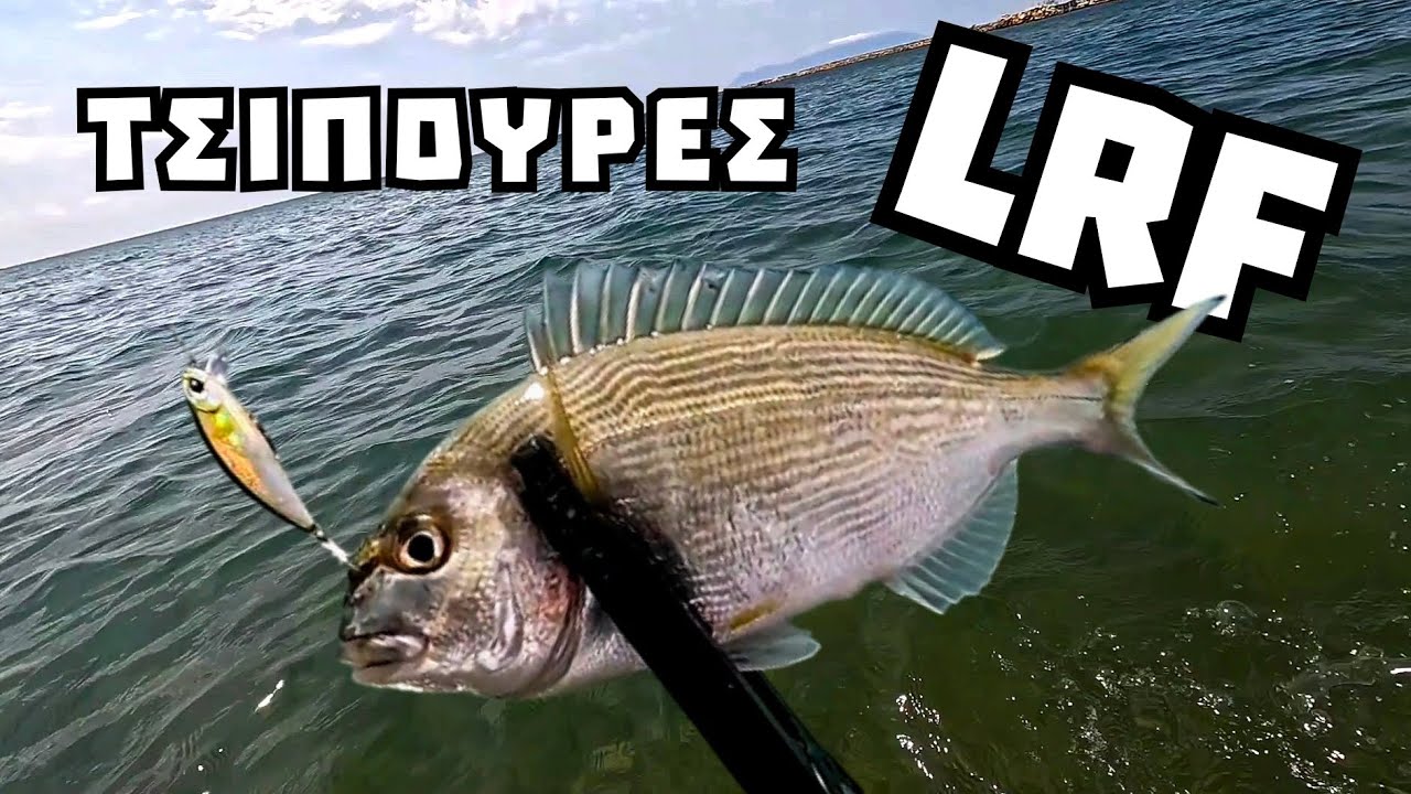 Ψάρεμα LRF στα ρηχά για τσιπούρες με minnow !!!