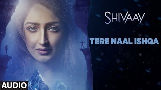 TERE NAAL ISHQA Full Audio Song ||  SHIVAAY || Kailash Kher | Ajay Devgn | T-Series