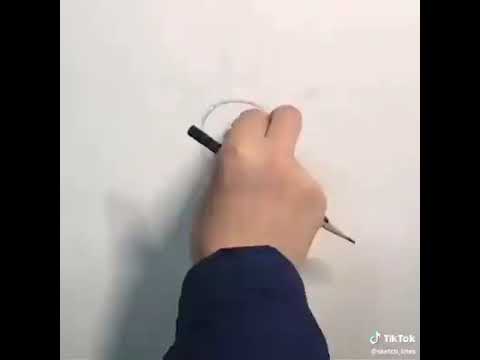مراحل نمو الانسان