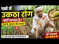 गन्ने का उकठा रोग पहचानें और बचाव करें 🌾|Sugarcane Wilt Disease Symptoms & Control|SHORTS|#fungus