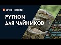 ???? Houdini "Python ??? ????????" (RUS)