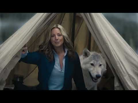 Sarah McLachlan Answers Call of the Wild in Comical Super Bowl Ad for Busch Light