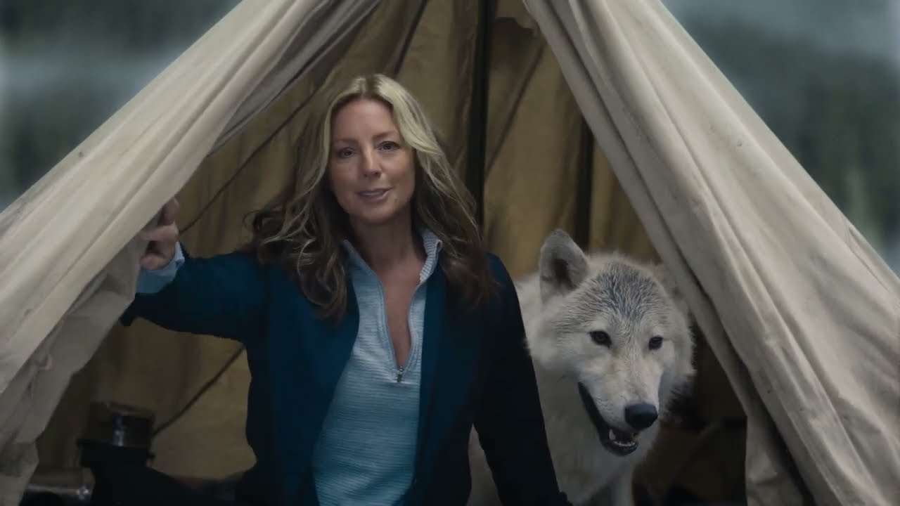 Super Bowl ads 2023: Watch the commercials you missed