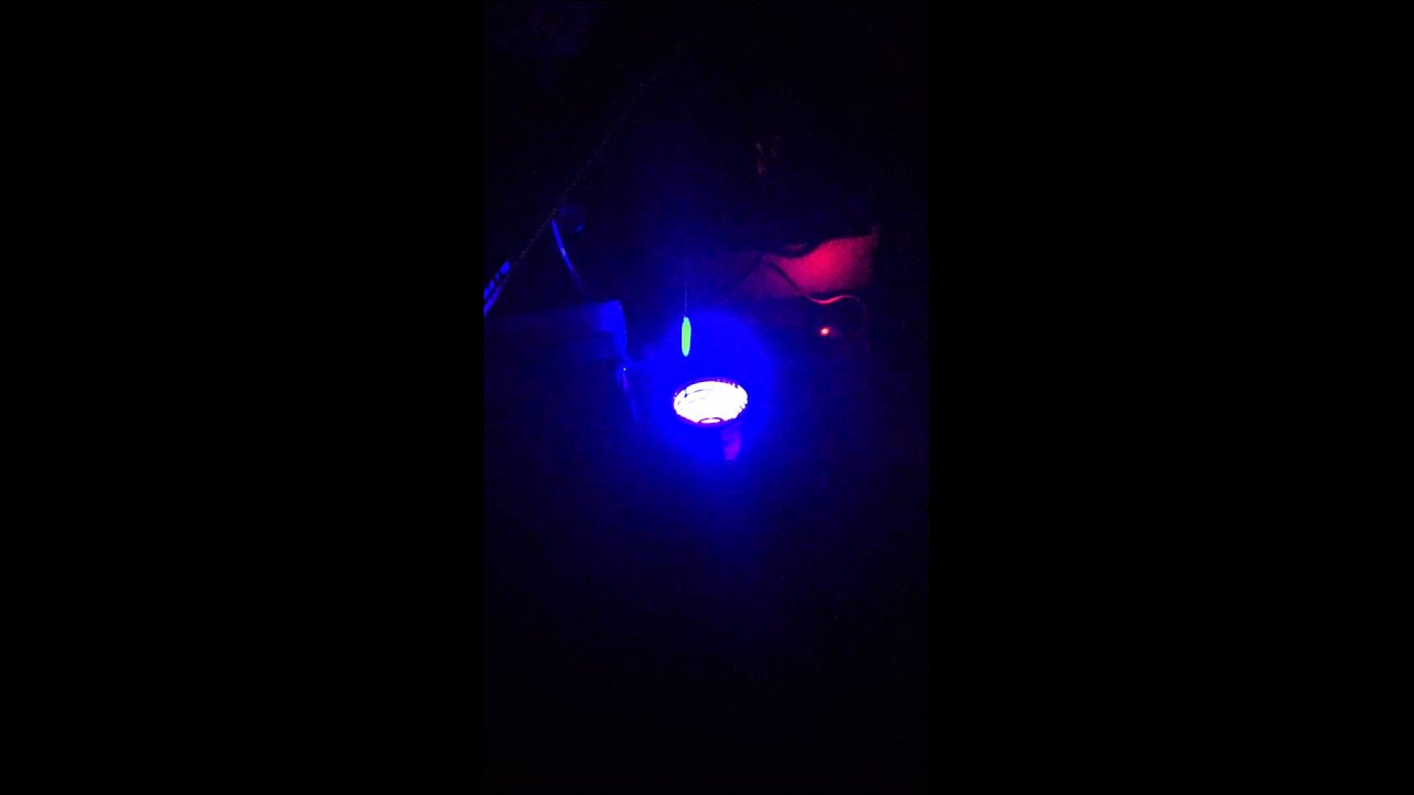 Homemade UV LED lure dip glow cup for a vex. - Ice Fishing