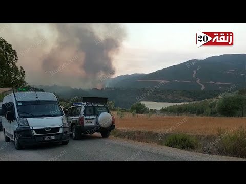 بعد العرائش السلطات تسيطر على حريق غابوي اندلع بإقليم تازة