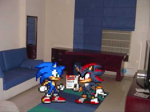 Shadow's bet