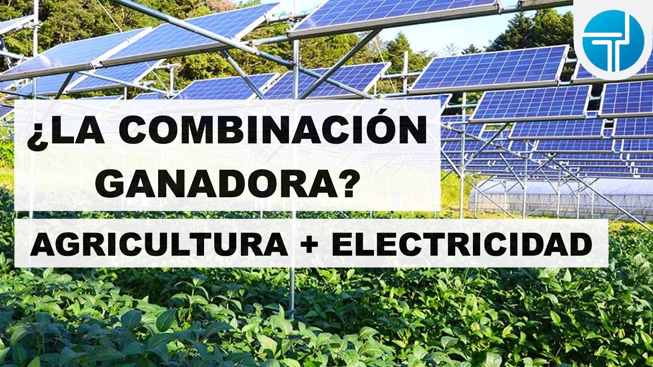 ¿Qué es la Agrovoltaica? | Agricultura + Electricidad Solar
