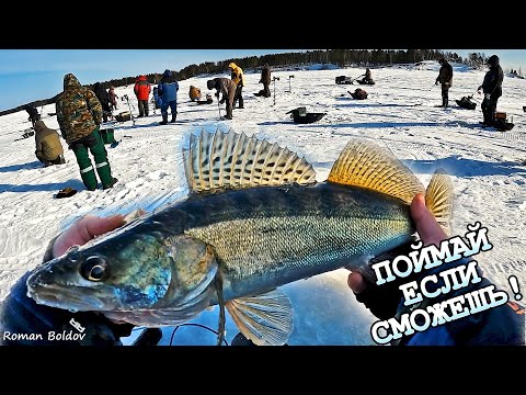 Рыбалка ЖЕСТЬ!!! Как ТОЛПА не дает ловить Судака на Волге?! Весенняя рыбалка 2024.