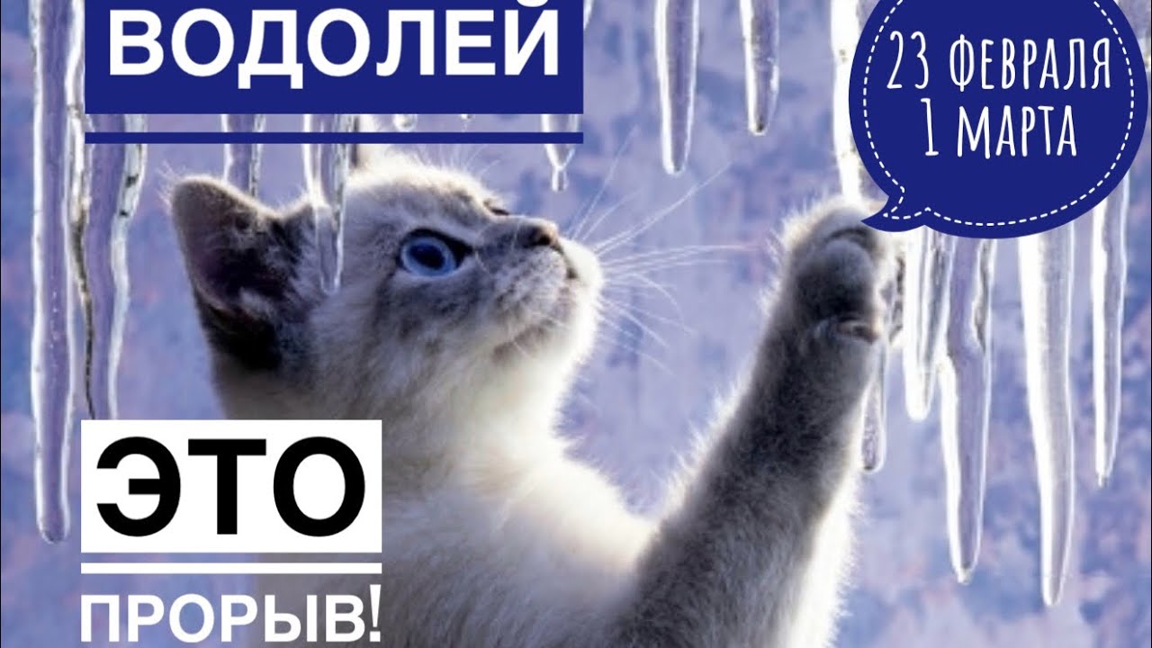 Водолей ♒️ 23 февраля-1 марта 2026 🍀🔮✨🗝❤️ Таро Ленорман прогноз 