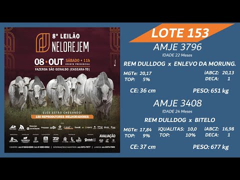 LOTE 153