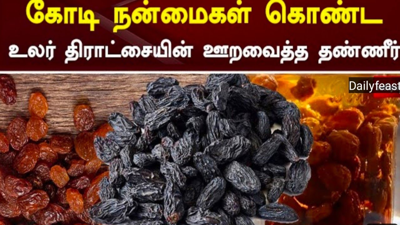 காய்ந்த கருப்பு திராட்சையை யாரெல்லாம் அவசியம் சாப்பிட வேண்டும்/Dry grapes benefits in tamil👌👌👍👍👍