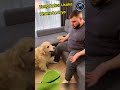 This dog came to rescue of his mother  respect shorts ytshorts