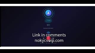 No KYC VoIP, Full Demo | Caller ID Spoofing, www.nokycvoip.com screenshot 2