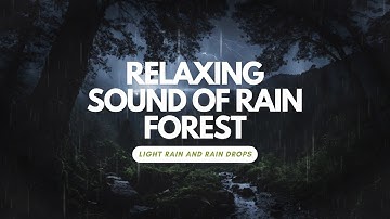 Relaxing Sound of Rain Forest Puddles 2 Hours   Light Rain and Rain Drops Falling From Trees