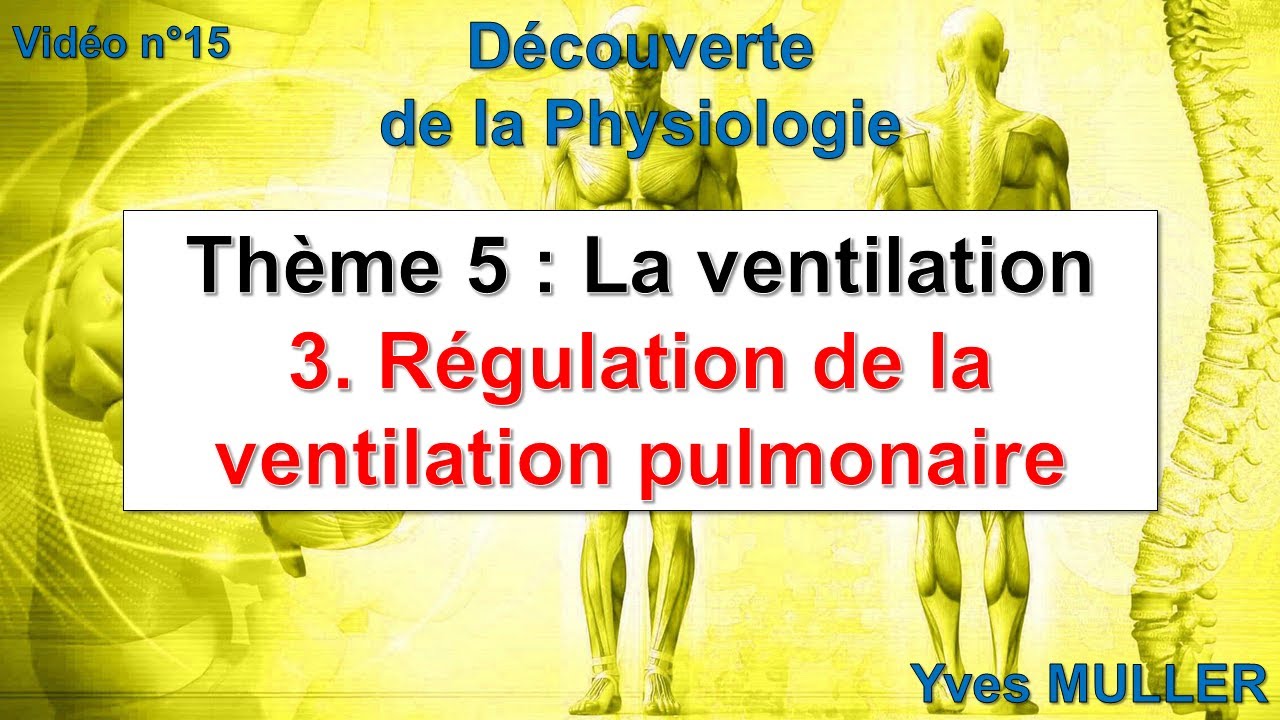 Vidéo 15 - Régulation de la ventilation pulmonaire