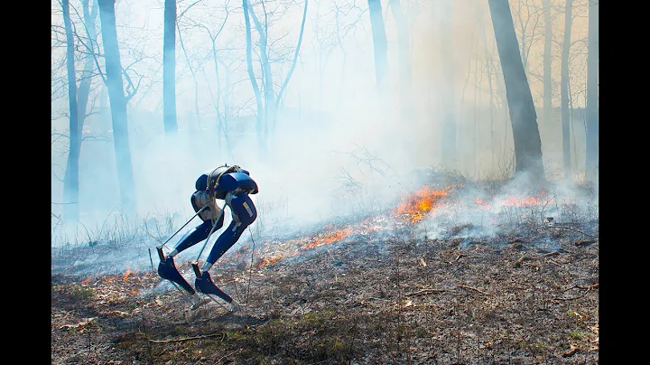 Bipedal Robot Cassie Blue Walks Through Fire