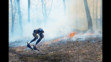 Bipedal Robot Cassie Blue Walks Through Fire