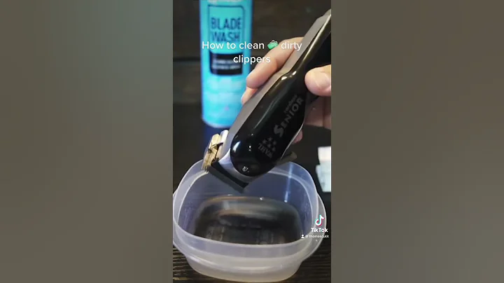 HOW TO DISINFECT DIRTY CLIPPERS AND TRIMMERS