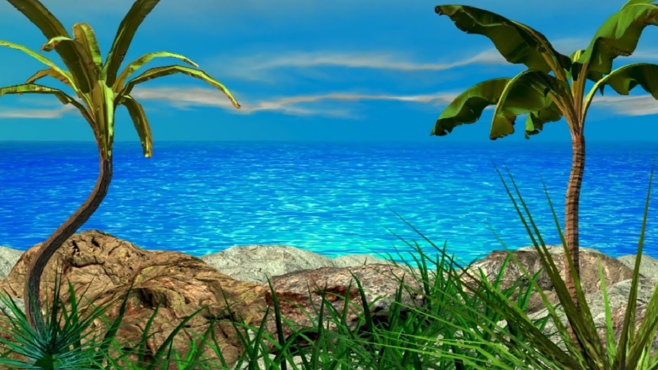 1 Hour Of Pure Tranquility!