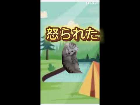 猫ミーム#キャンプ