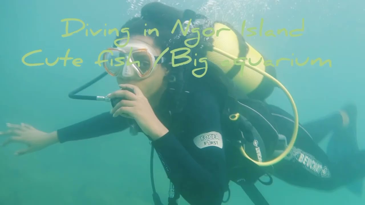 Plongée sous marine au Sénégal 