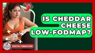 Is Cheddar Cheese Low-FODMAP? - Sensitive Stomach Guide