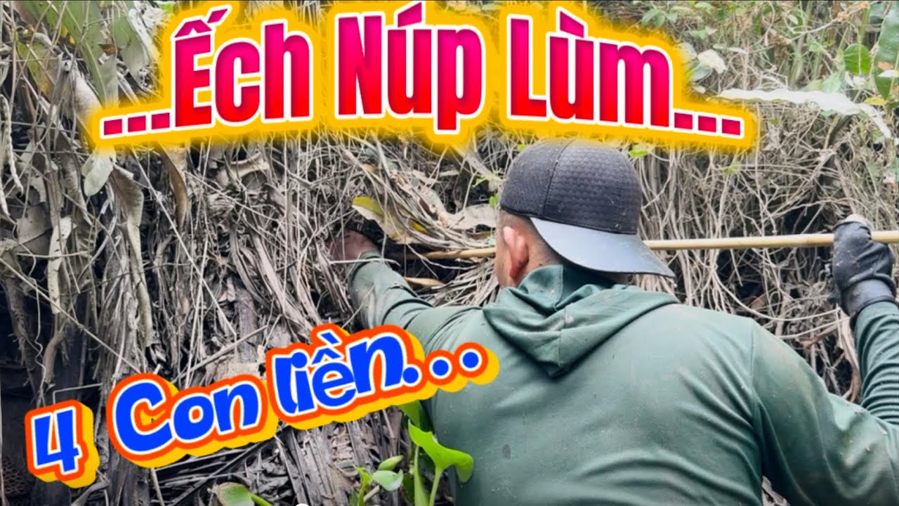1 Phát 4 Con liền - Săn Bắt Ếch Núp Lùm …../Bồ tỏi sb 