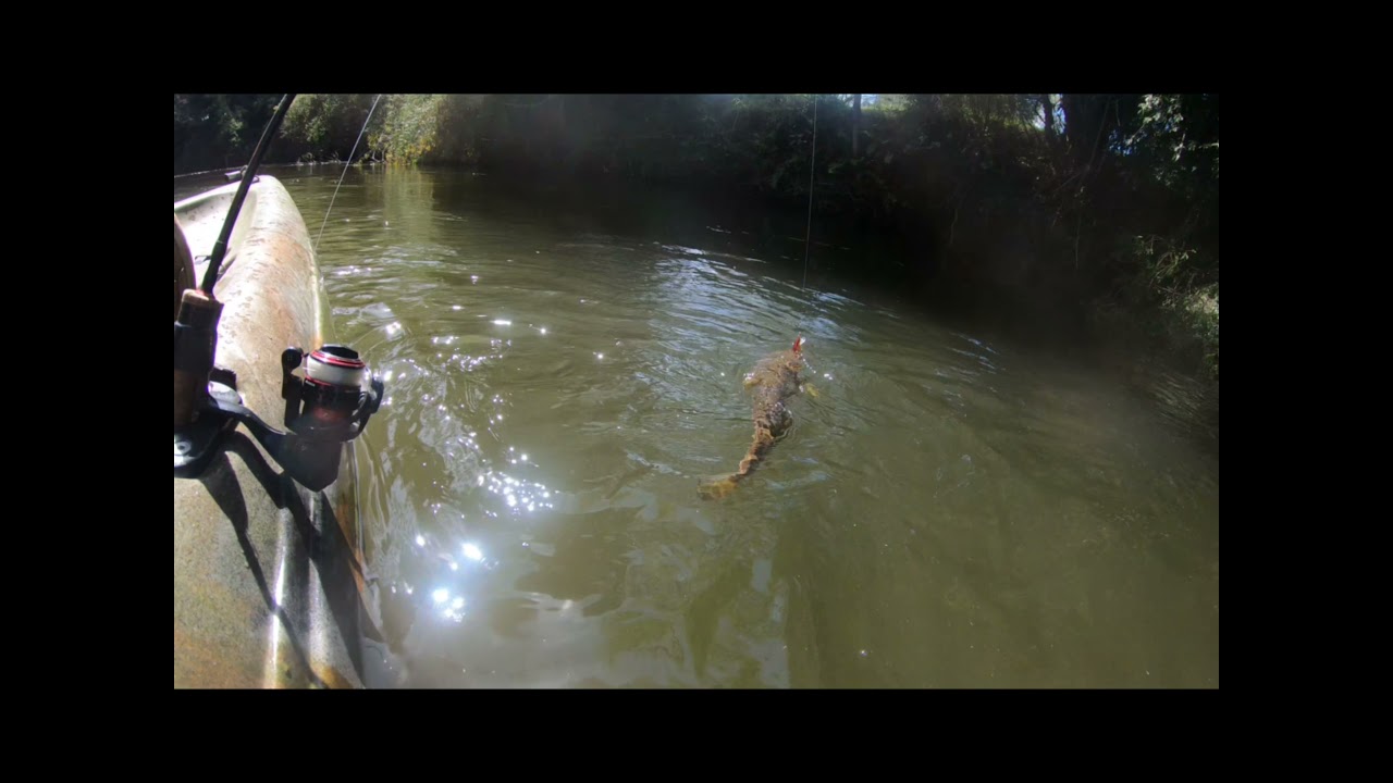 Día de Pesca en kayak con afluentes excursiones