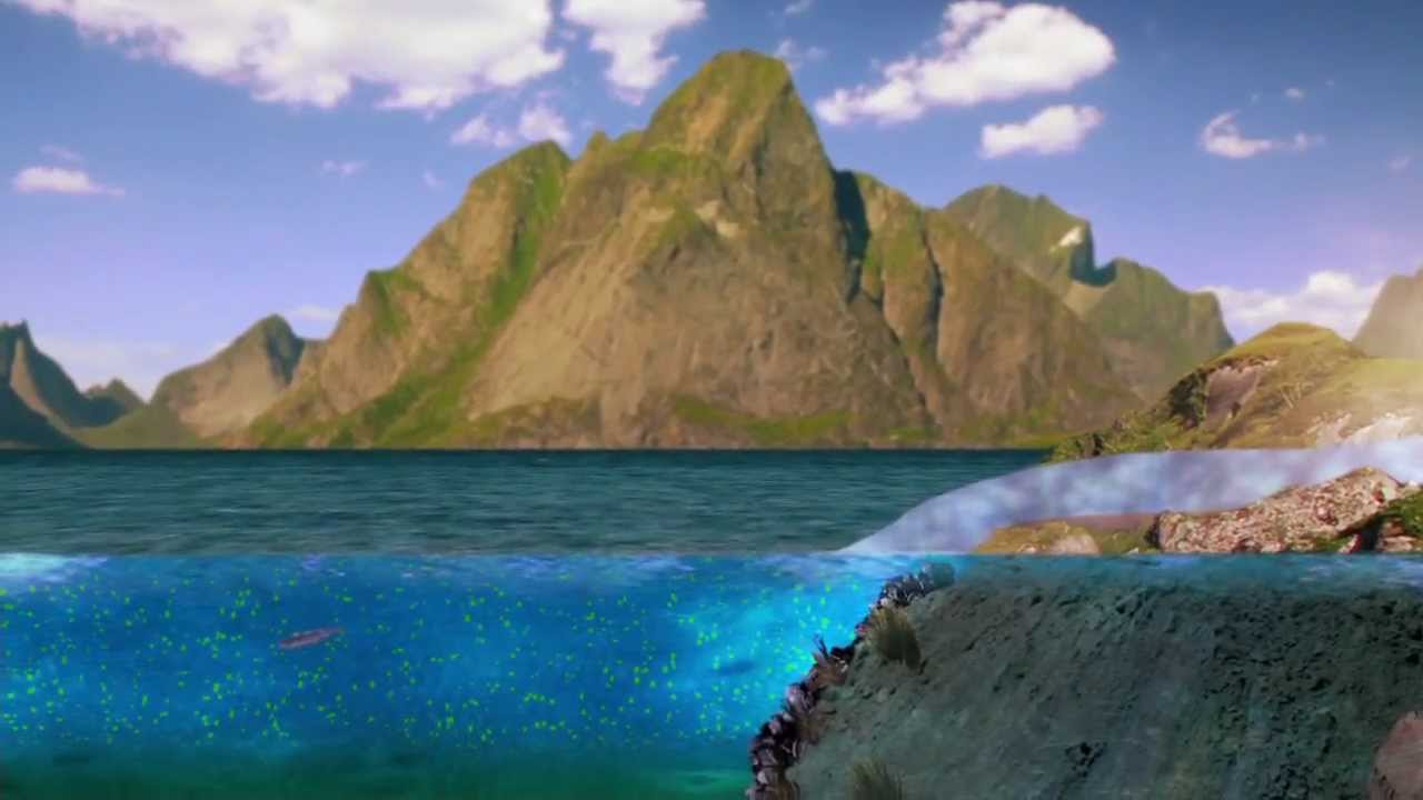 Nutrients from the deep