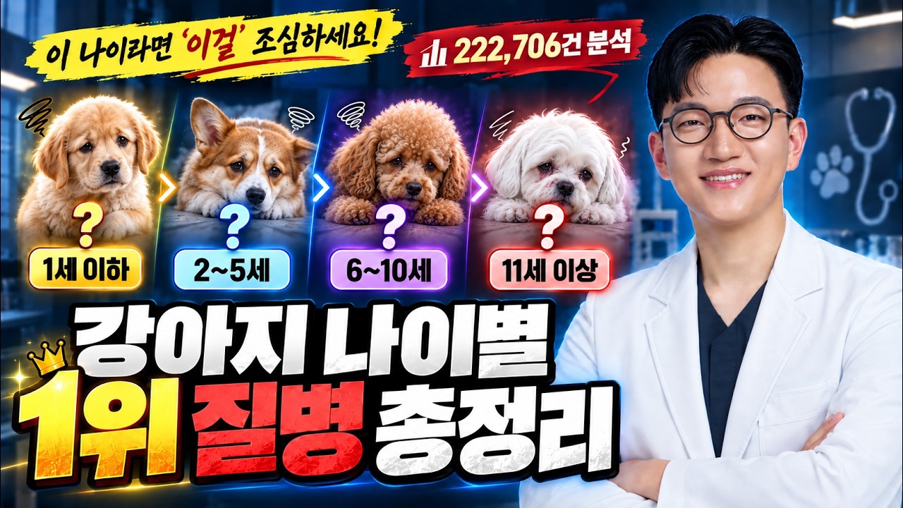 강아지 나이별 병원 가는 이유 TOP10, 22만 건 분석