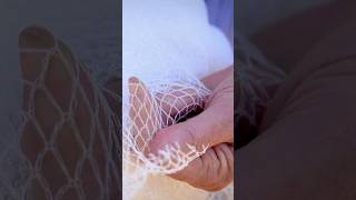 Wildlife-safe Netting for the Garden | Gardening Australia