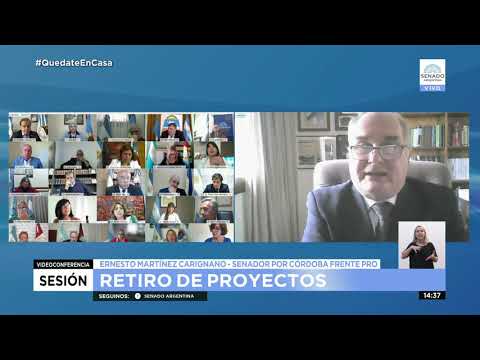 SDOR. ERNESTO MARTÍNEZ - SESIÓN ORDINARIA 29-10-20