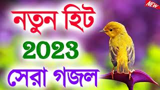 15 নতুন গজল সেরা গজল   New Bangla Gazal, 2023 Ghazal   New Gojol Islamic Gazal 2023