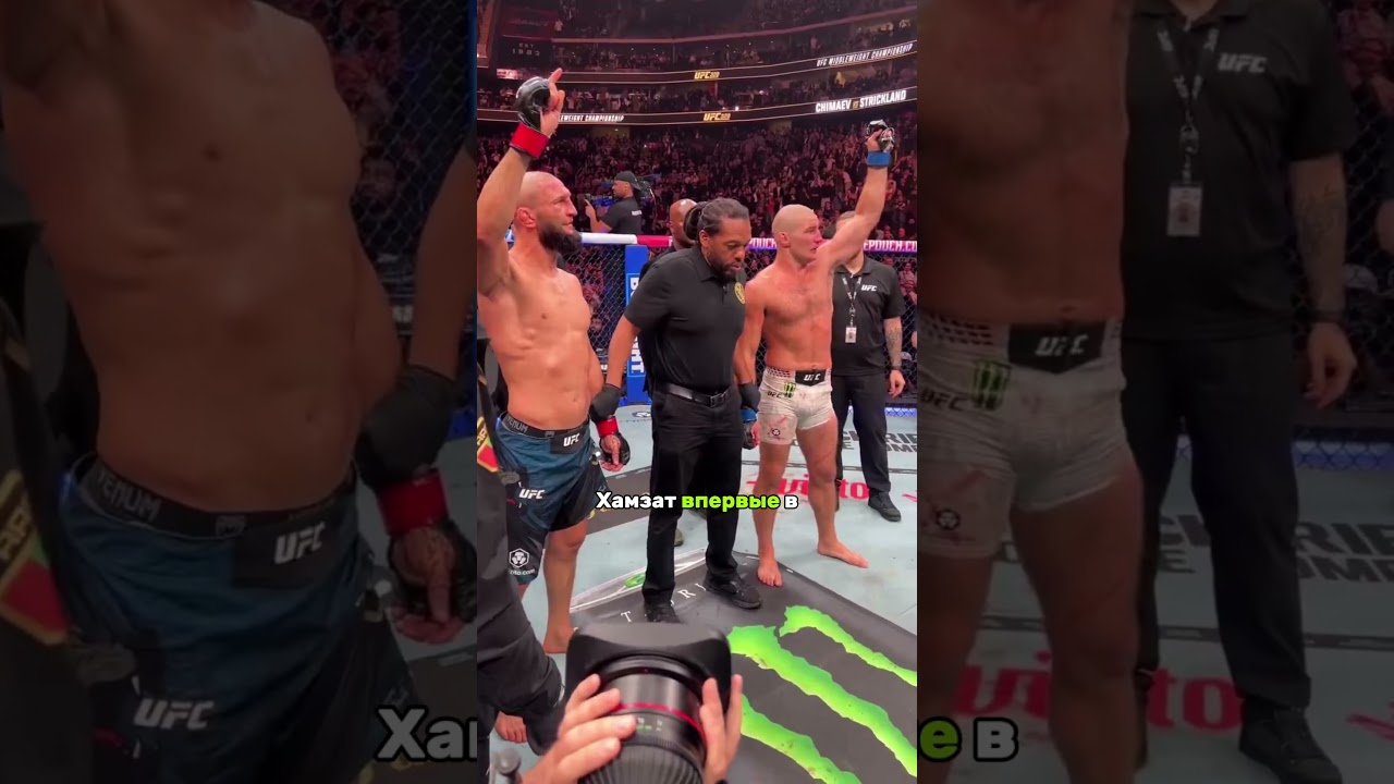 Хамзат Чимаев продал главный бой  #ufc #khamzatchimaev