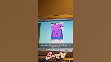 Having a Fun Playing is the Roller Splat 🫟 on the Computer