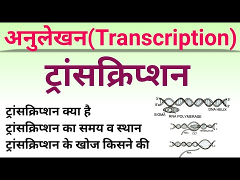 ट्रांसक्रिप्शन(Transcription)| अनुलेखन | anulekhan biology | transcription in hindi | biology ncert