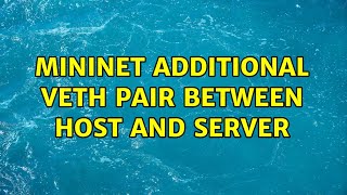 Mininet additional veth pair between host and server