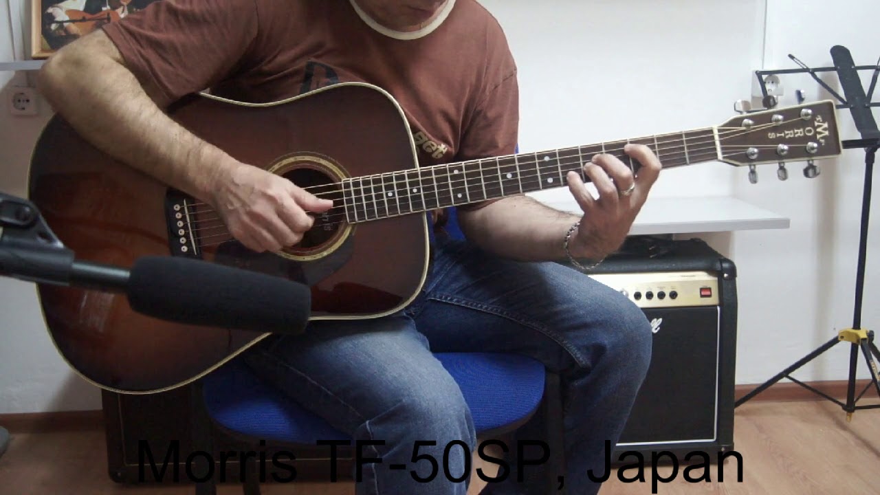 ☆Morris モーリス TF-50SP アコースティックギター 日本製 smcint.com