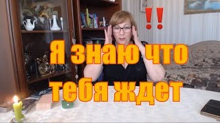 Прогноз для водных знаков на ближайшие 10 дней. ОР Таро. Прогноз для водных знаков на ближайшие 10 дней. ОР Таро.