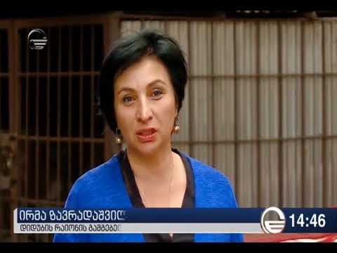 წერეთლის 99-ში ავტოფარეხების ნაცვლად გამწვანება მოეწყობა