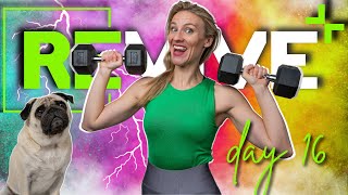 SUPERSET Upper Body Workout