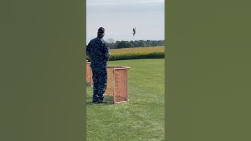 F-18 CLOSE CALL 😂 #rc #fly #almostdied #crash #shorts