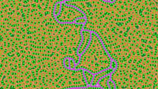 reaction diffusion experiment pr test 08 prs 547   green orange dot walls
