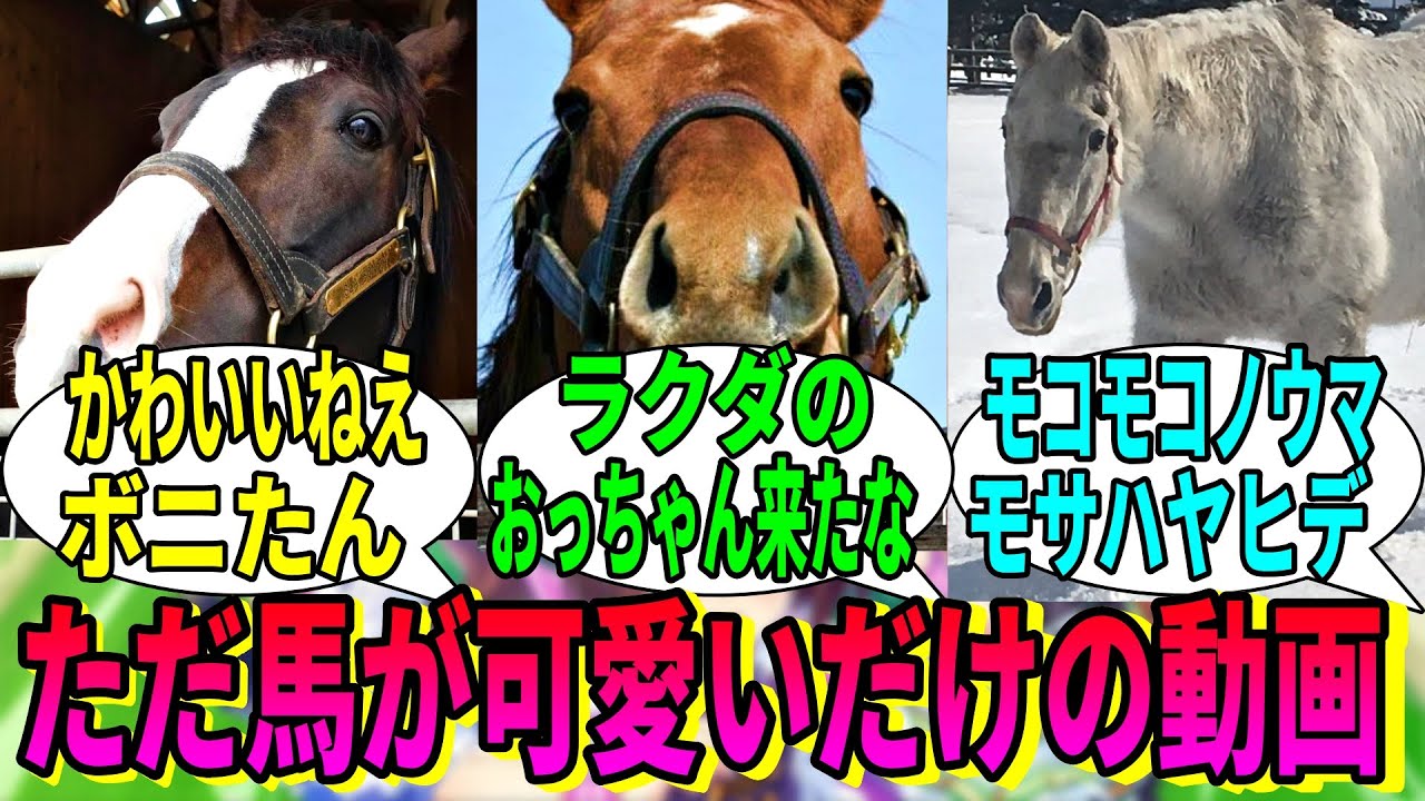 【競馬の反応集】「また馬の可愛い画像が集まるだけの動画」に対する視聴者の反応集
