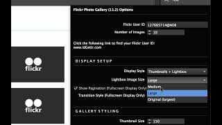 Flickr Photo Gallery Widget | Tutorial by MuseThemes.com screenshot 4