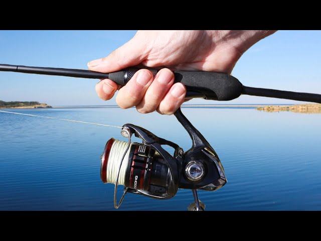 Favorite Black Swan the Worlds Lightest Fishing Rod !! 
