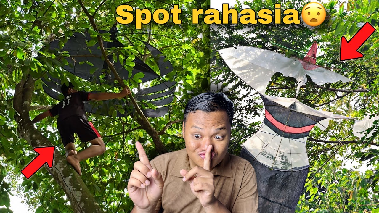 Berburu layangan putus’ nemu spot gacor penuh layangan😱