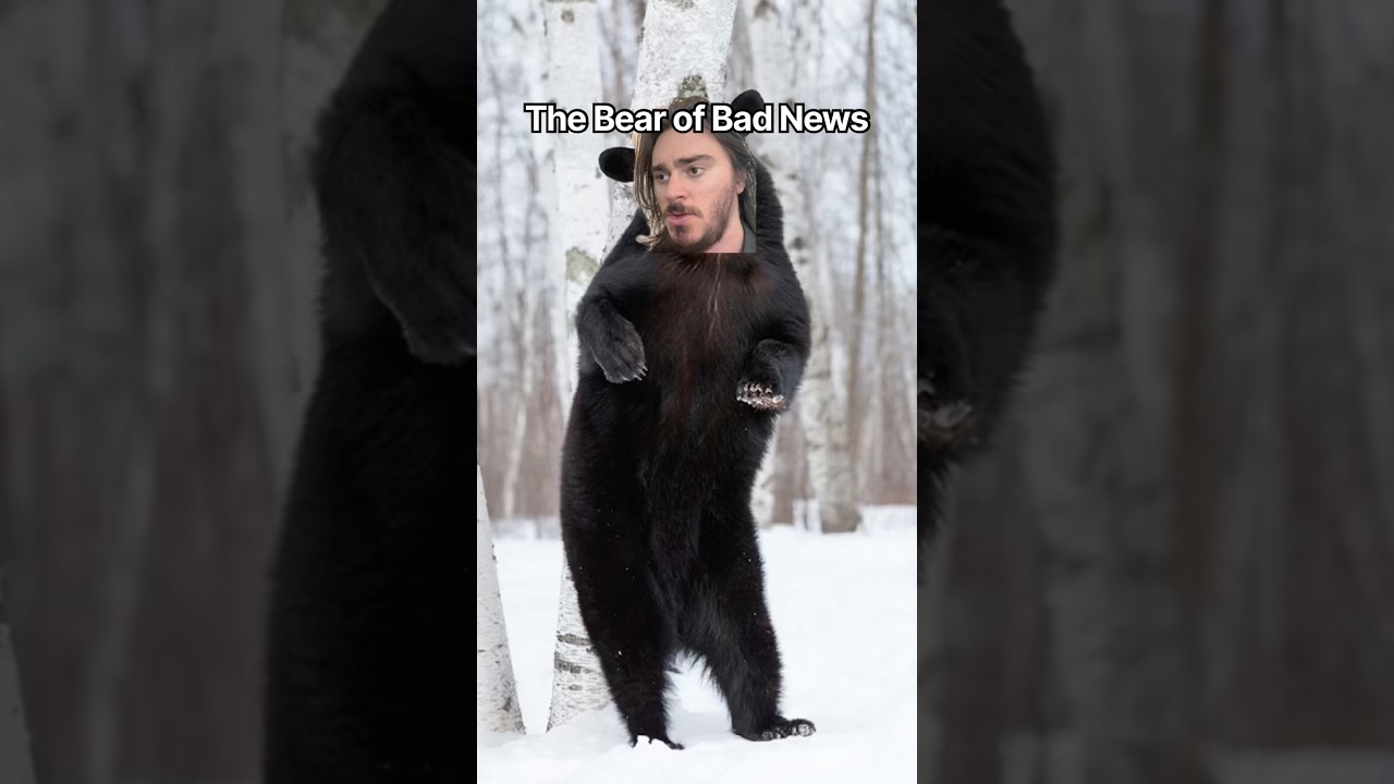 the bear of bad news #shorts #comedy #funny